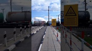 [РЖД] Грузовой поезд 2ЭС6-1174 проезжает железнодорожный переезд