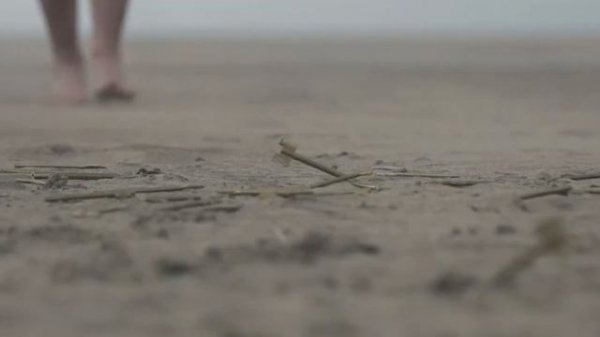 Jaroom(Джарум)-Гравитация