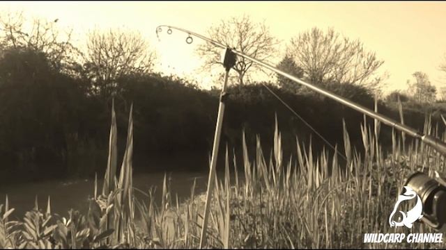 EXTREME River Carp Run COMPILATION 2022! The Brown River (Nash / Fox / Delkim) смотреть онлайн