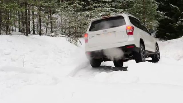 New Forester Test #2