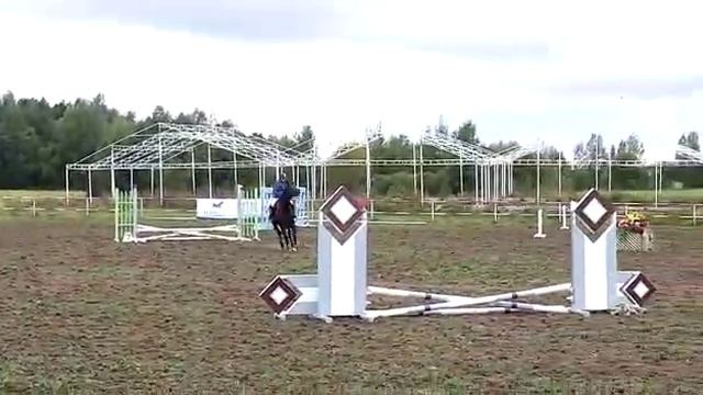 КСК Альфарес 40 сантиметров