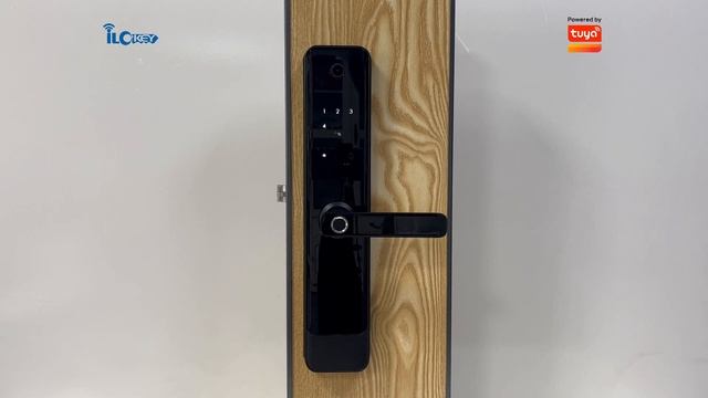 Ilockey Smart Lock - E908 Pro - Tuya Wifi - Restore Factory Settings