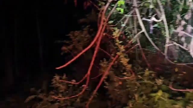 ASLI KAGET LUAR BIASA‼️DIKIRA BAPAK" KEMALAMAN DI TENGAH HUTAN, TERNYATA DIA HANTU BIKIN MERINDING смотреть онлайн