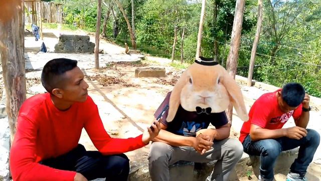 EX DELINCUENTE MINERO ES LIBRADO DE LA MUERTE POR DIOS | Profeta Hilmer Parao смотреть онлайн