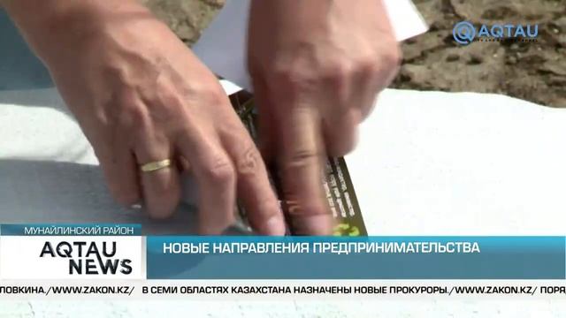 НОВЫЕ НАПРАВЛЕНИЯ ПРЕДПРИНИМАТЕЛЬСТВА смотреть онлайн