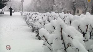 " Снег идет ...  "  Борис Пастернак . (  И все таки , музыкальная шкатулка . )