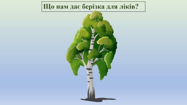 Відеозаняття з ознайомлення із природою + Розвиток мовлення "Лікарські рослини та їх використання" смотреть онлайн