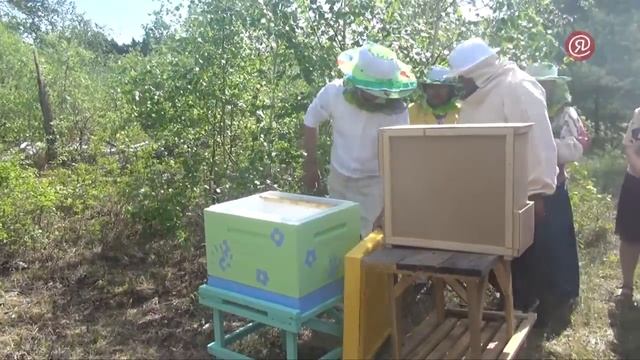 пчеловоды смотреть онлайн