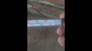 ВЫЛЕЧИЛ ПОНОС С КРОВЬЮ У БЫКА НА ОТКОРМЕ