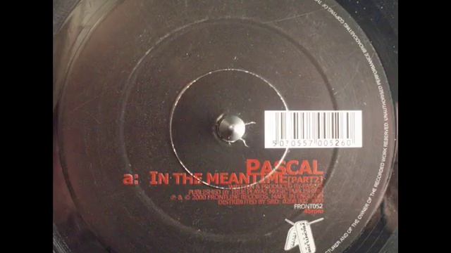 Pascal - In The Meantime (Pt 2) смотреть онлайн