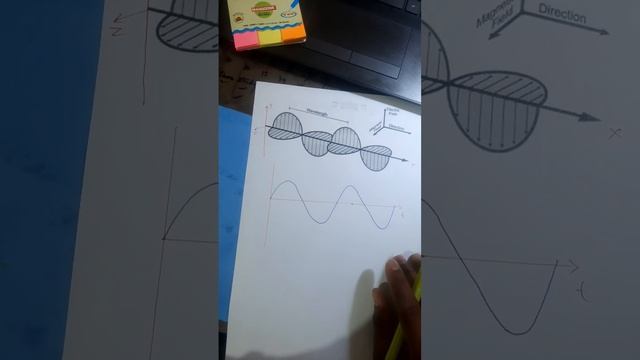 TRANSVERSE AND LONGITUDINAL WAVES смотреть онлайн