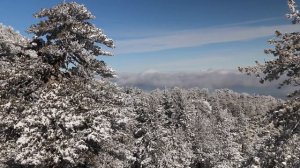 Как живут в Духе? - подобно мертвецам и подобно ангелам...