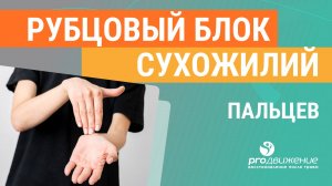 Рубцовый блок сухожилий пальцев ✋