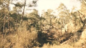 Полиграфический шедевр XXI века: Старец Тихон-2