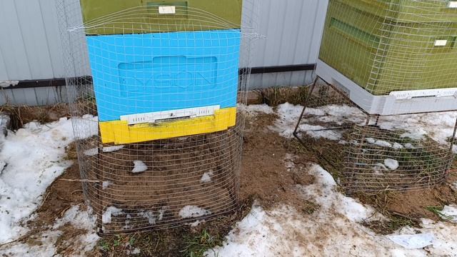 Как защитить улей от синичек зимой