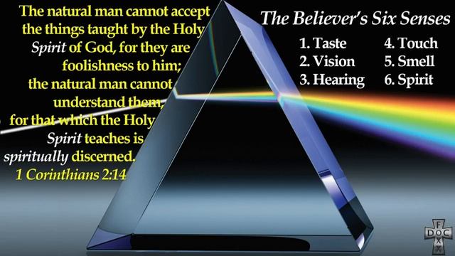 Pastor John Foxx - 09212023 - Thicker Than Water - Your True Family смотреть онлайн