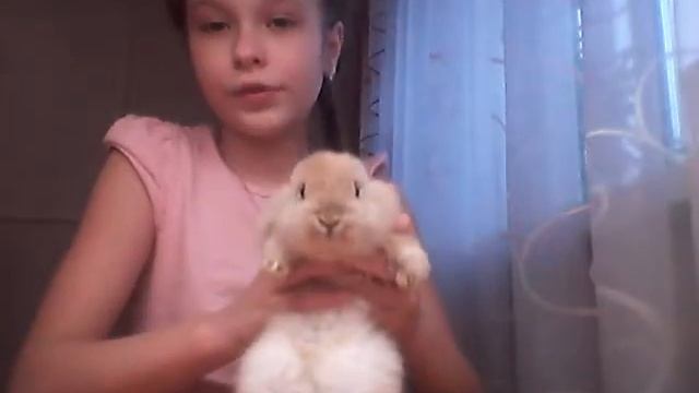Я нашла кролика на улице???|Lady Dasha смотреть онлайн