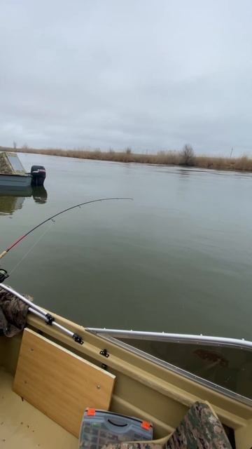Нормальные пацаны рыбу ловят 😁 смотреть онлайн