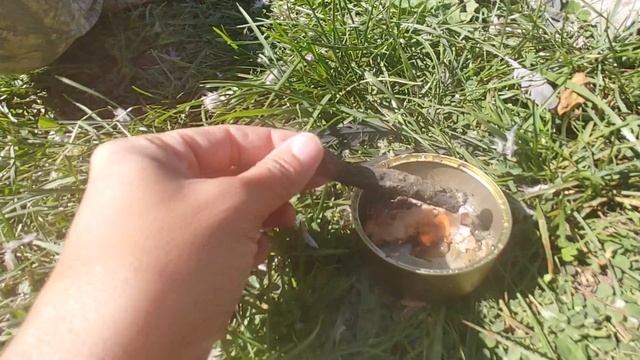 Fire Starting With PINE SAP