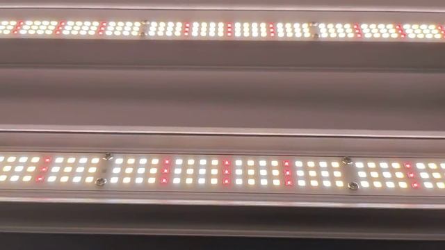 240W grow light bar смотреть онлайн