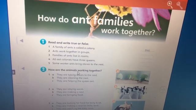 Guess What 5 - Workbook - Pages 16, 17, 18 And 19