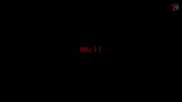 Ribbon Mics Shootout On An Alto Sax (AEA, Royer, Rode, Cascade, Sontronics) - #37 LIZIs SEWING BOX