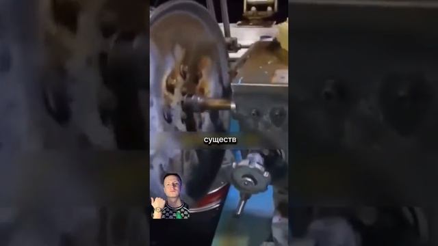 Алмазный кальмар смотреть онлайн