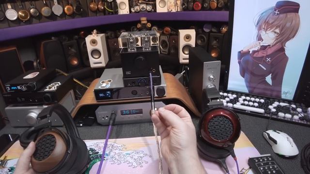 💎 Z Review - Fostex TH808