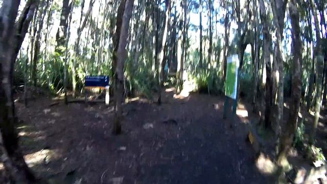 Huia to Whatipu via Karamatura Forks смотреть онлайн
