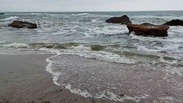 Одесса. Тепло, 19"С, но ветер...💦🍂 #уЧерногоМоря 💦 704 Октябрь 2023 смотреть онлайн