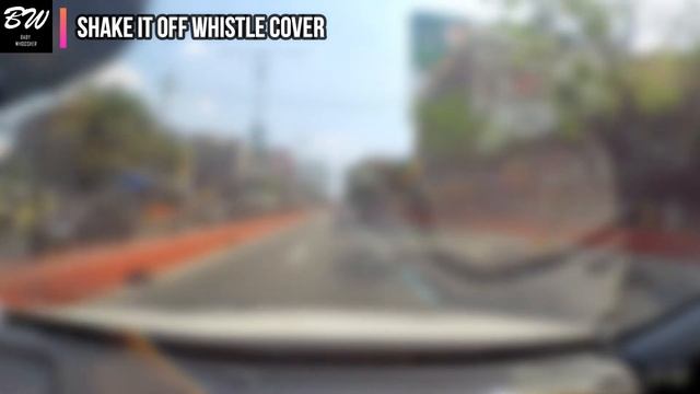 Taylor Swift - Shake It Off | Whistle Cover by Baby Whoosher