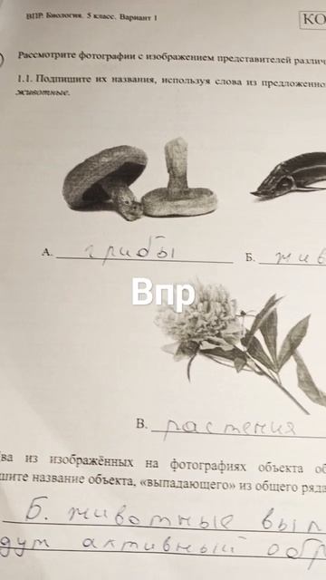 31 марта 2024 г. смотреть онлайн