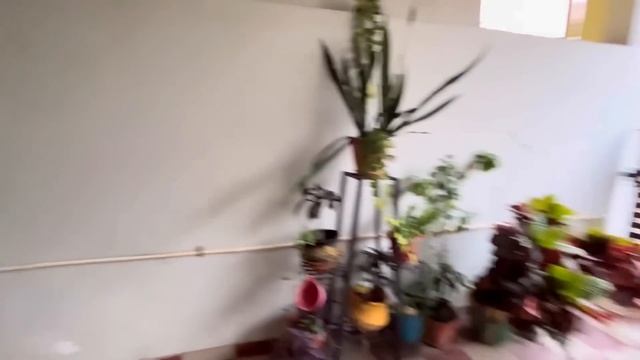 ЕЩЕ ОДНА МЕЖДУНАРОДНАЯ СЕМЬЯ! ЧЕМ ЗАНИМАЕТСЯ СЕМЬЯ ДОКТОРОВ В СВОБОДНОЕ ОТ РАБОТЫ ВРЕМЯ ?! #india смотреть онлайн