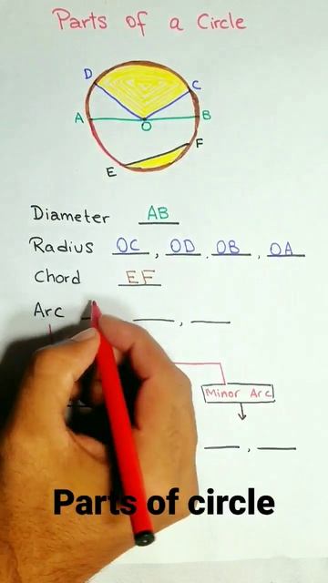 Parts Of Circle#radius#diameter#segment#geomtry#rubab#chord#Arc#major Arc#minor#trick#viral#video