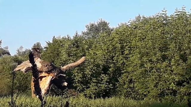 Без суеты и городского шума - такое у природы естественное лицо и становиться стыдно перед ней!!! смотреть онлайн