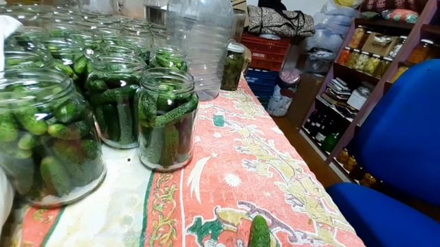 PEPINOS EM CONSERVA, DICAS DA DAIA 💞😍 смотреть онлайн