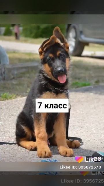 30 ноября 2020 г. смотреть онлайн