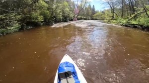 сплав на SUP борде  совместного с байдарками