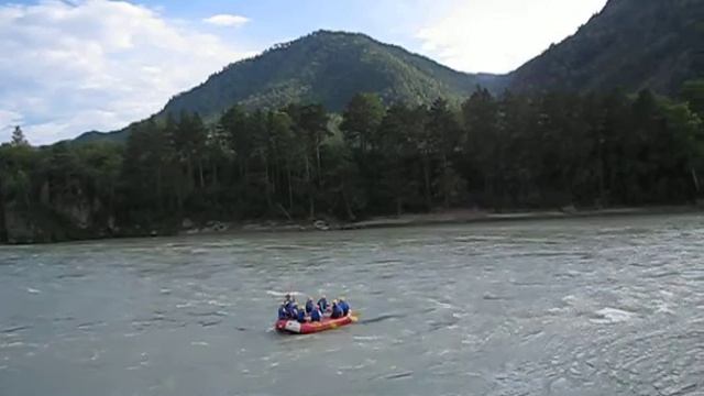 Бабочка на Катуни