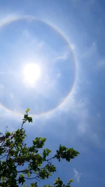 Halo phenomenon in Hyderabad смотреть онлайн