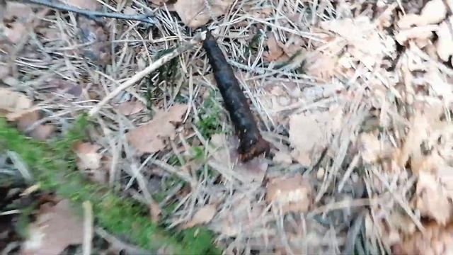 Metal Detecting | Huge WW2 Mauser Ammo Clip Pit | Old Coins And More