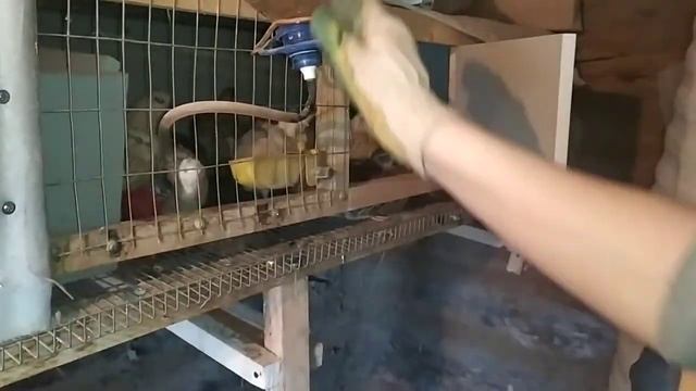 Будни: дела в сарае! смотреть онлайн