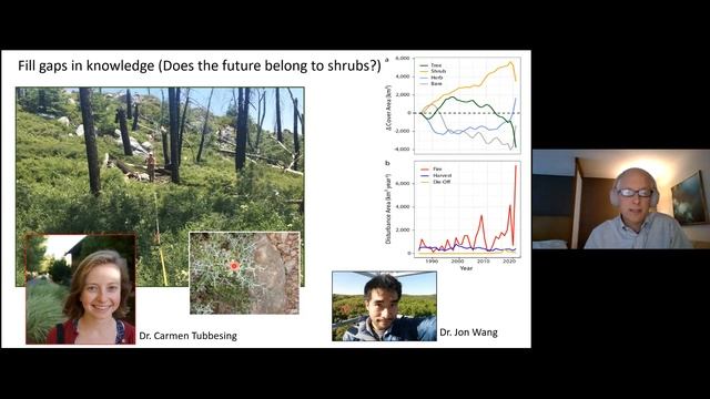 John Battles on Understanding Wildfire and Its Impact in California смотреть онлайн