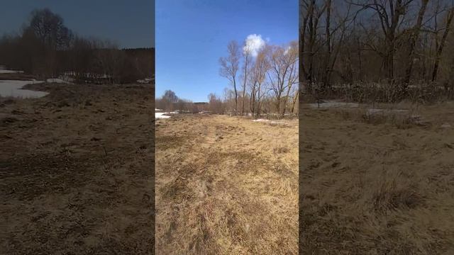 Не андатра а бобры🤦🏻♀️😂 смотреть онлайн