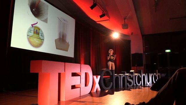 A Mountain-sized Telescope, Under A Mile Of Ice | Jenni Adams | TEDxChristchurch