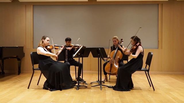 Schubert: "Death and the Maiden" String Quartet No. 14 in D Minor смотреть онлайн