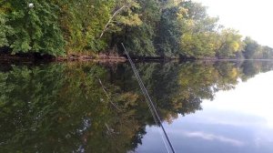 сиа про 3 лоцман 280 по заливам