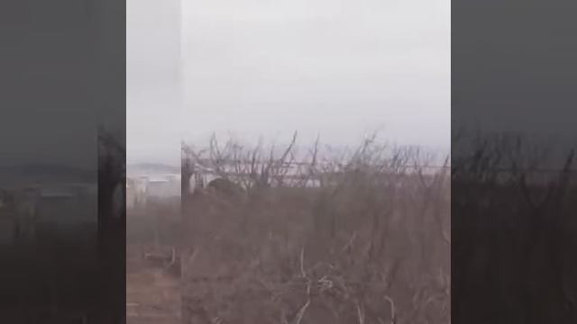 Nestor Adrian Serial смотреть онлайн