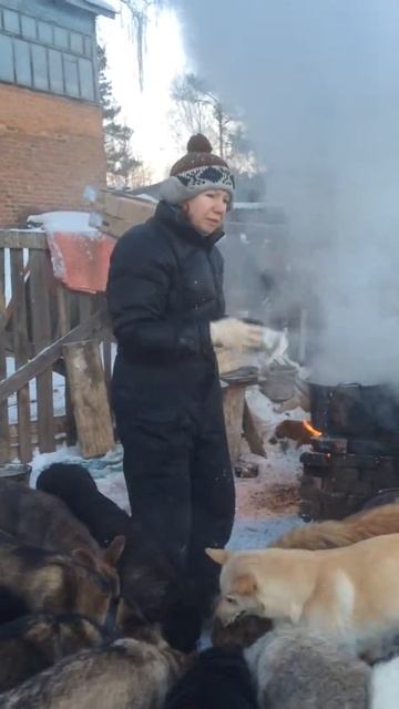 Готовим завтрак смотреть онлайн
