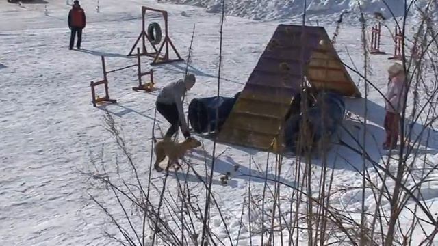 2012 03 08 M2U01514 Ника адж сор 8марта12 смотреть онлайн